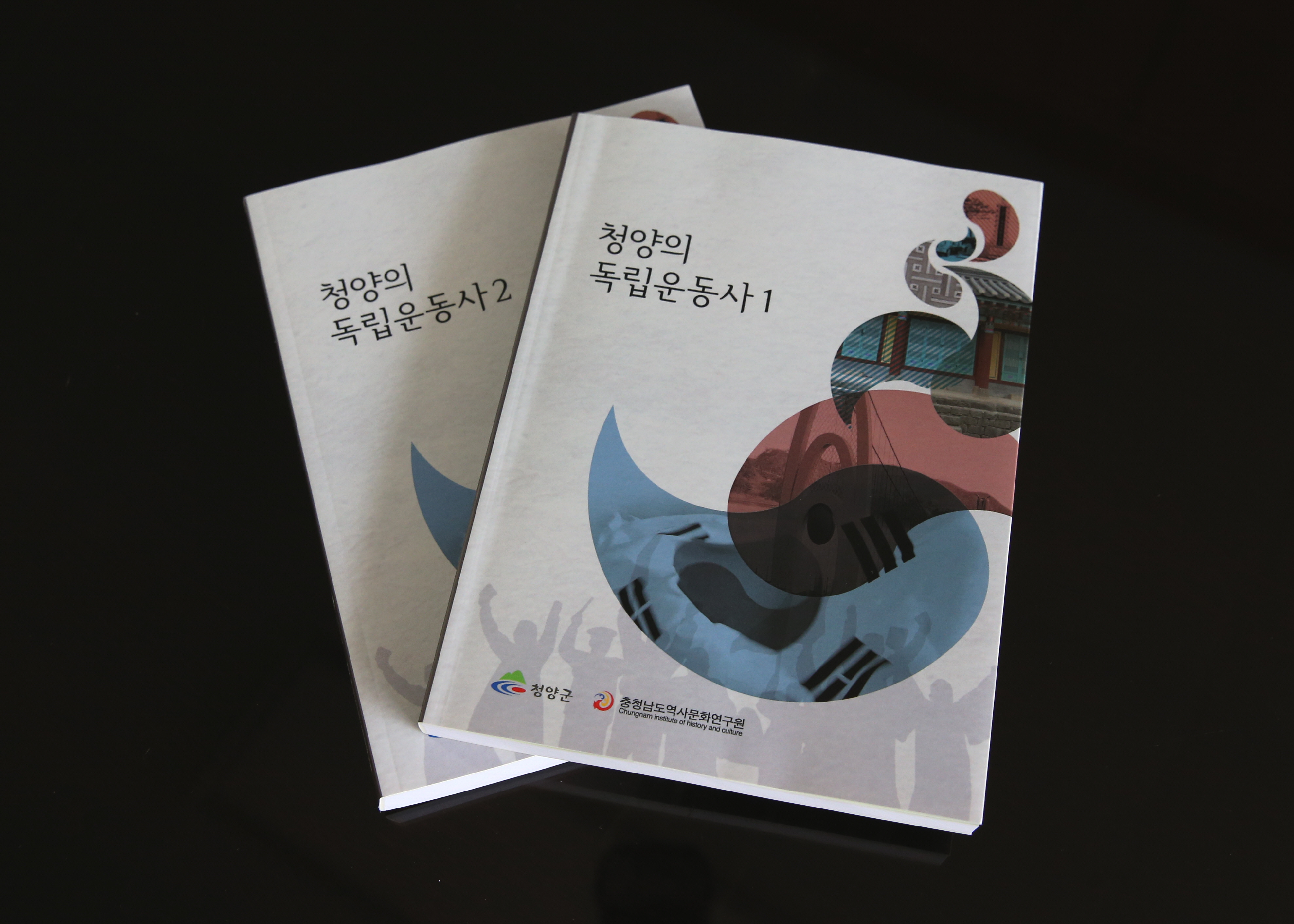 1017 청양의 독립운동사