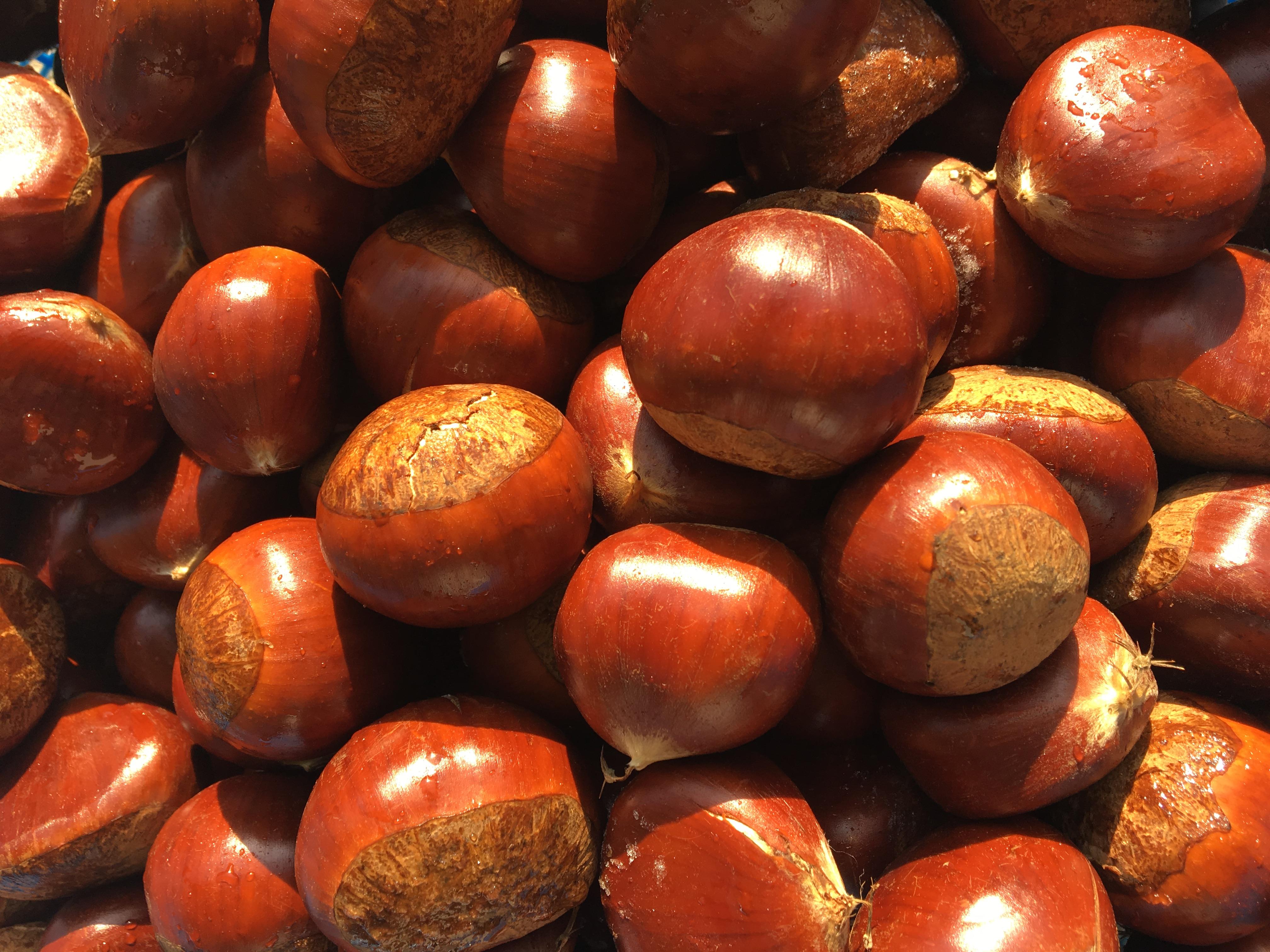 1117 김형찬씨 출품 청양 밤