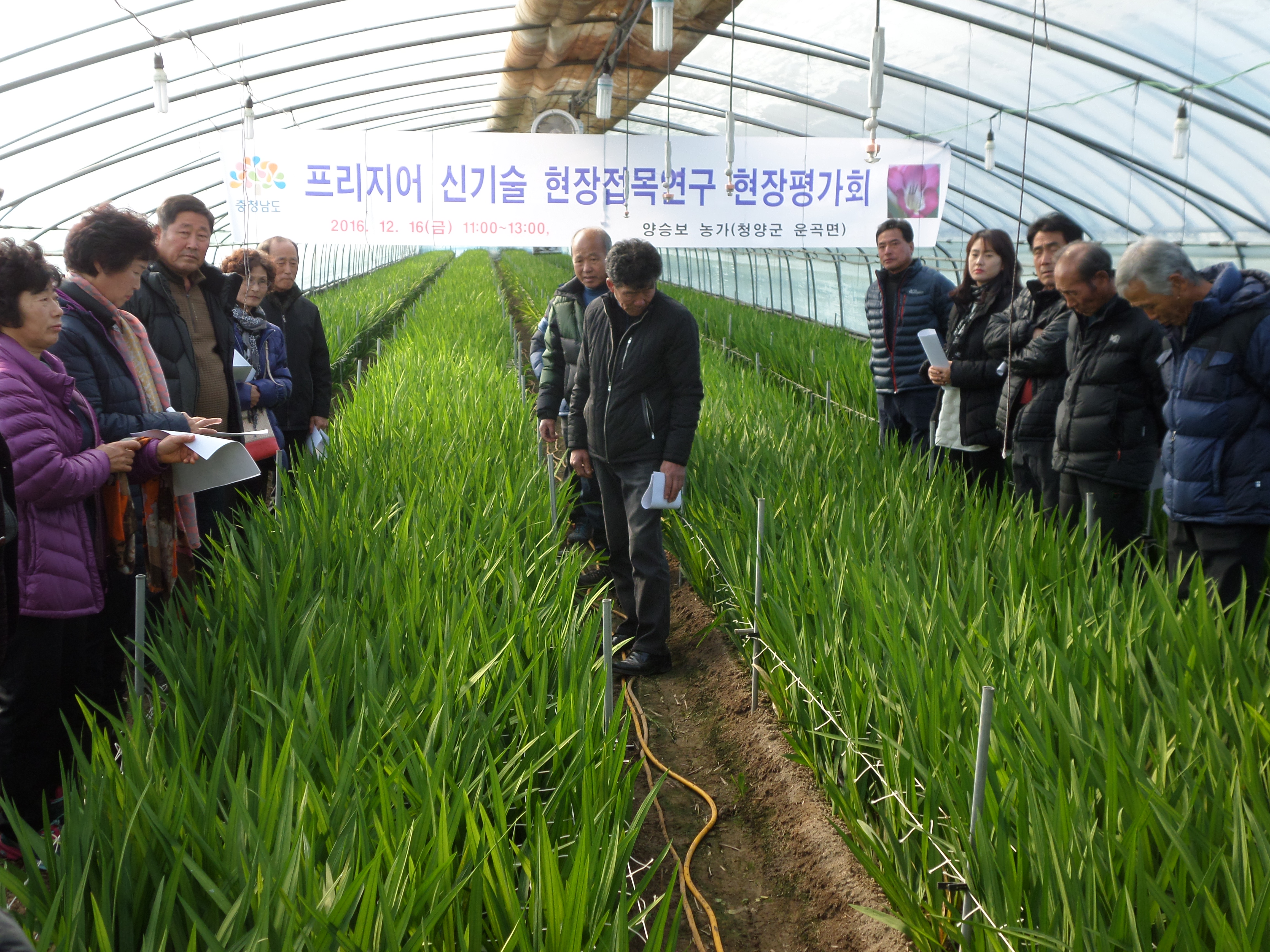 1219 프리지어 신기술 접목 현장 평가회
