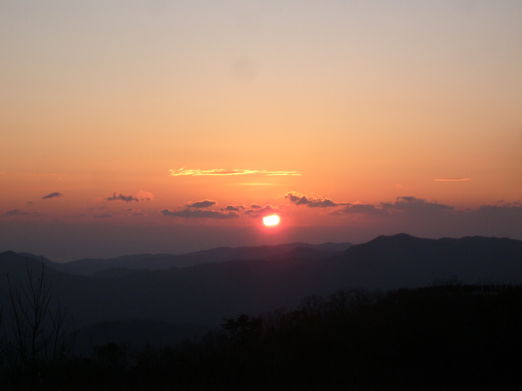 1223 해맞이 행사 취소
