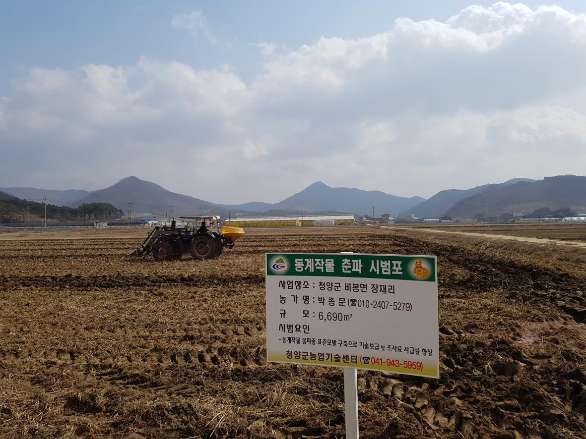 0313 동계작물 춘파 시범포