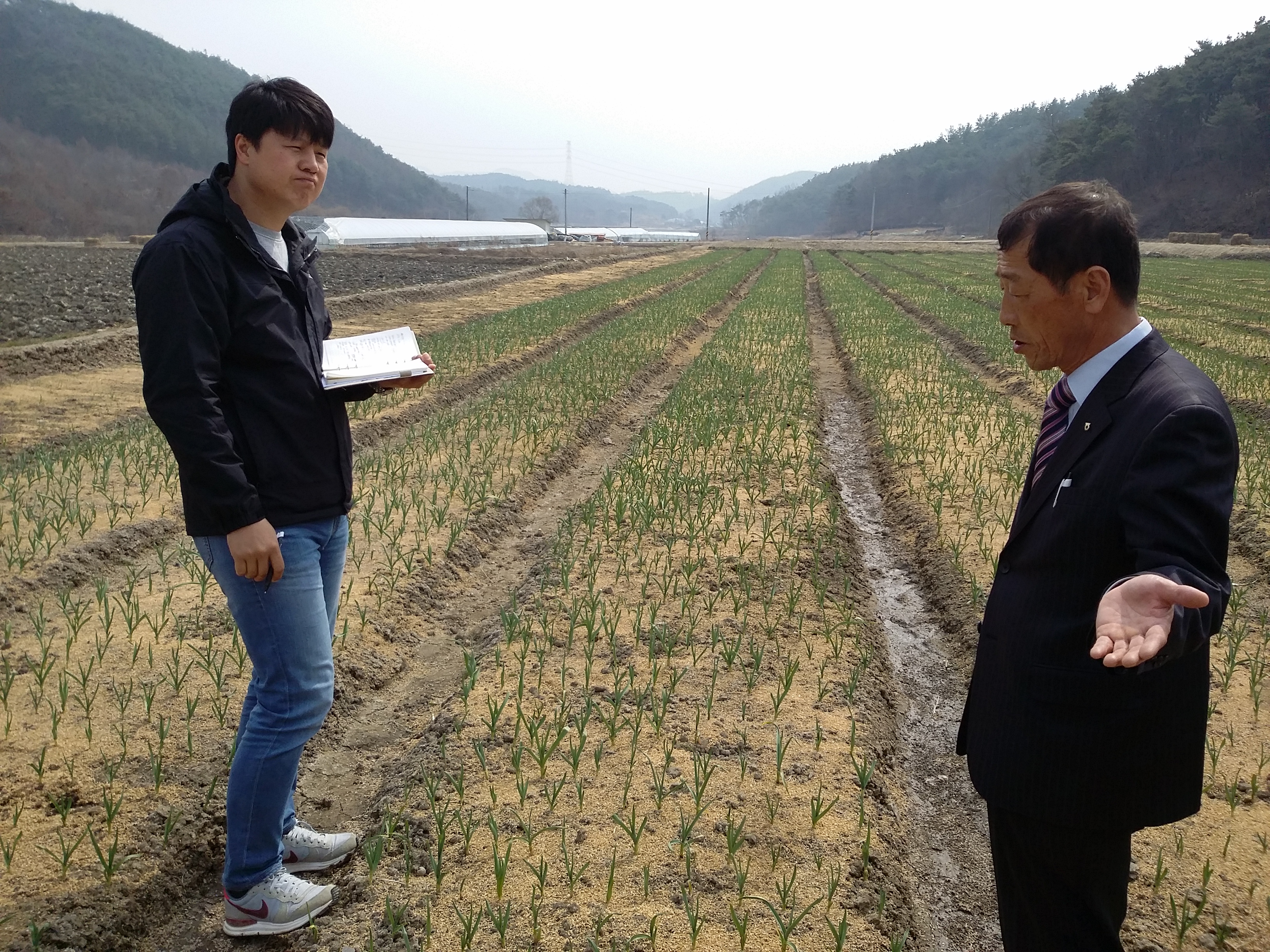 0327 마늘재배농가 현장 컨설팅