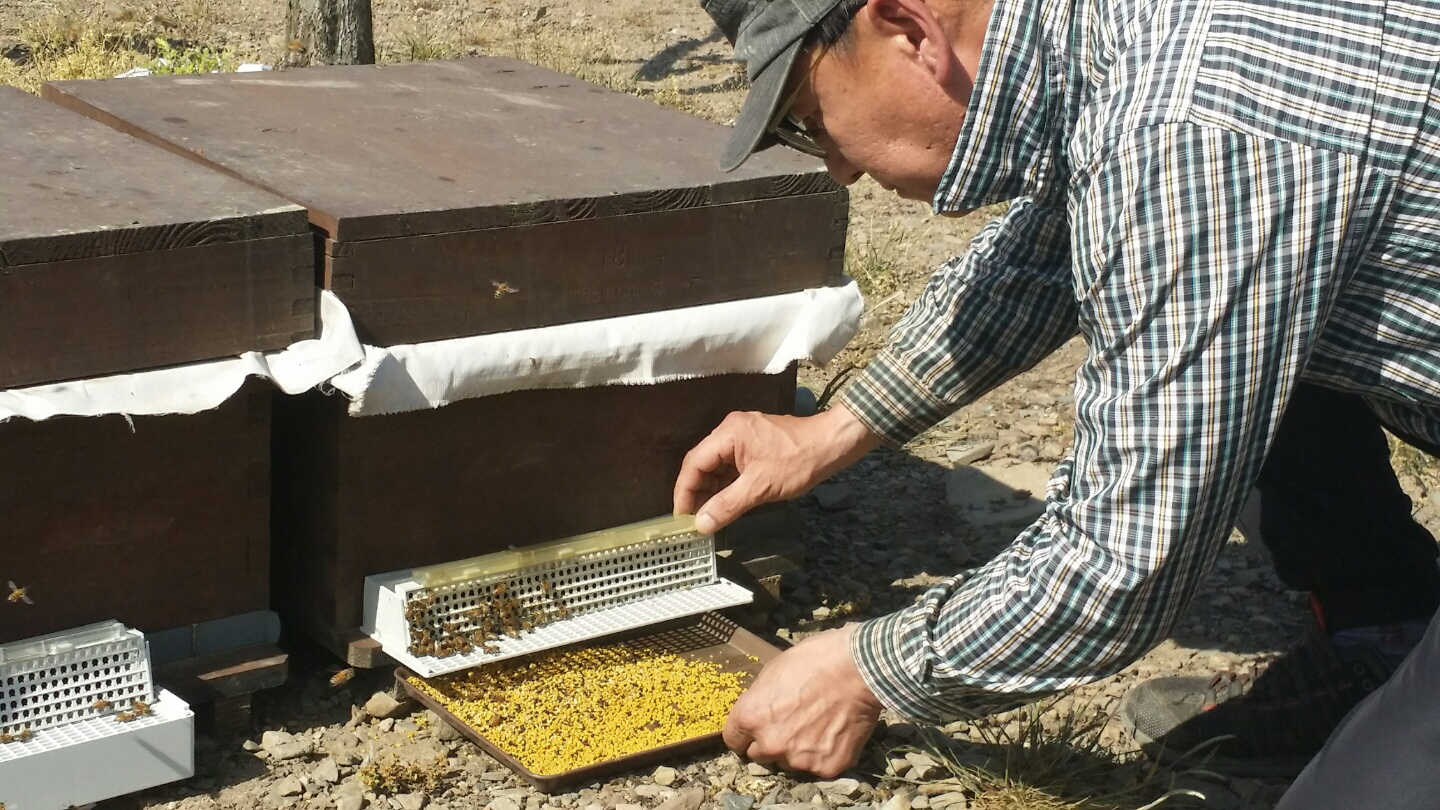 0504 고품질 화분 생산