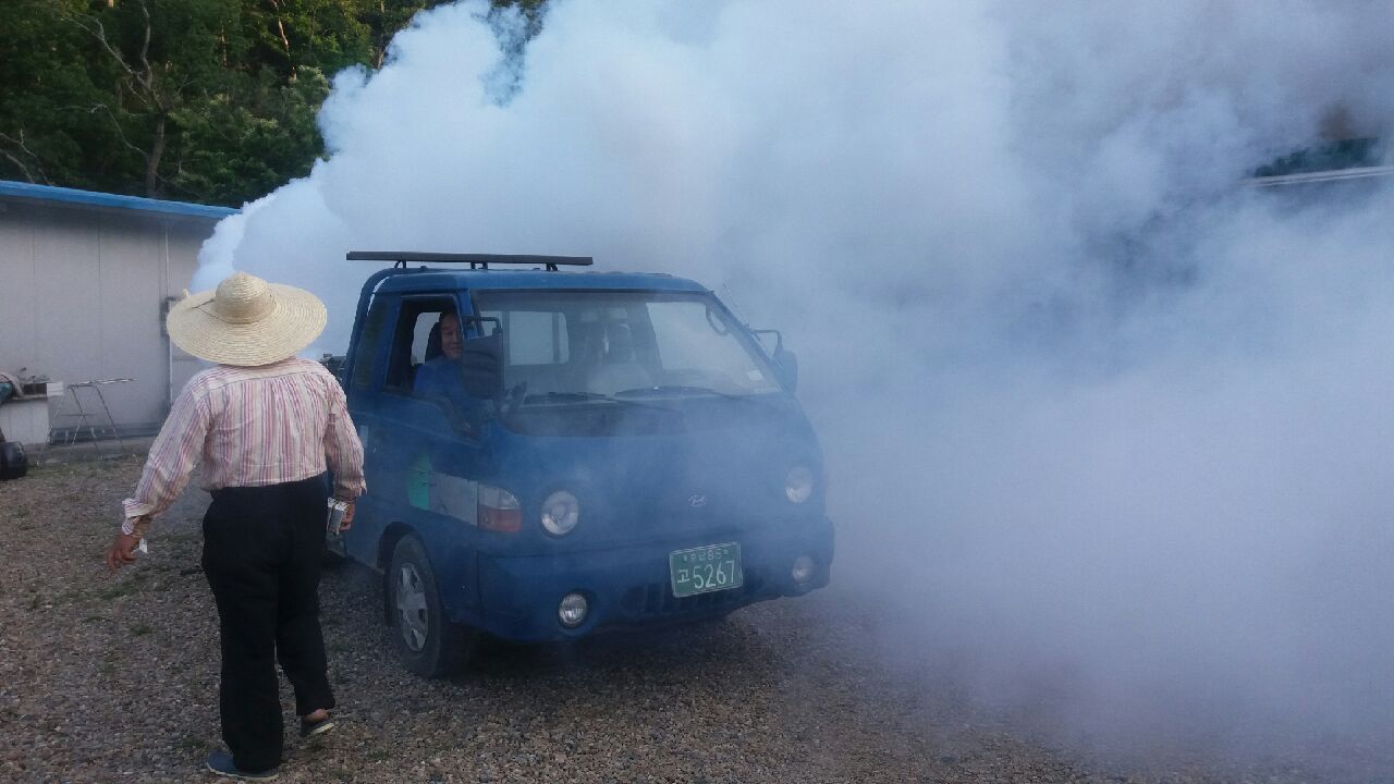 0620 목면 하절기 방역소독