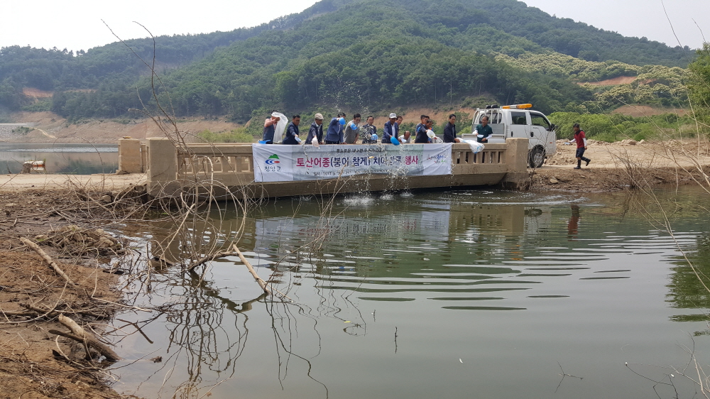 0621 목면 토산어종 방류행사