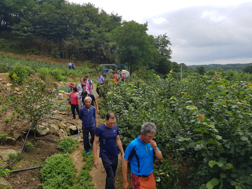 0720 대치면 농촌지도자회 현장견학