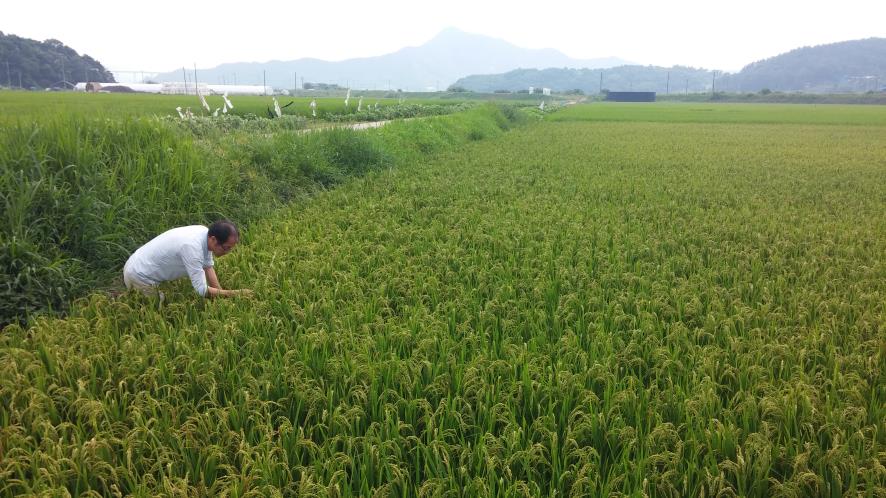 0731 병해충 집중방제 기간설정 방제 총력