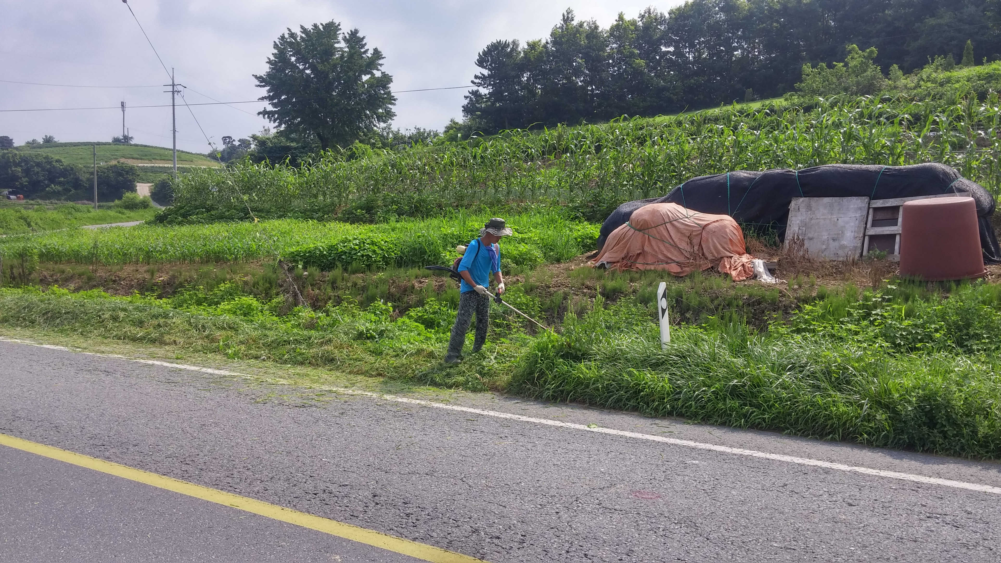 0808 운곡면 도로변 제초작업