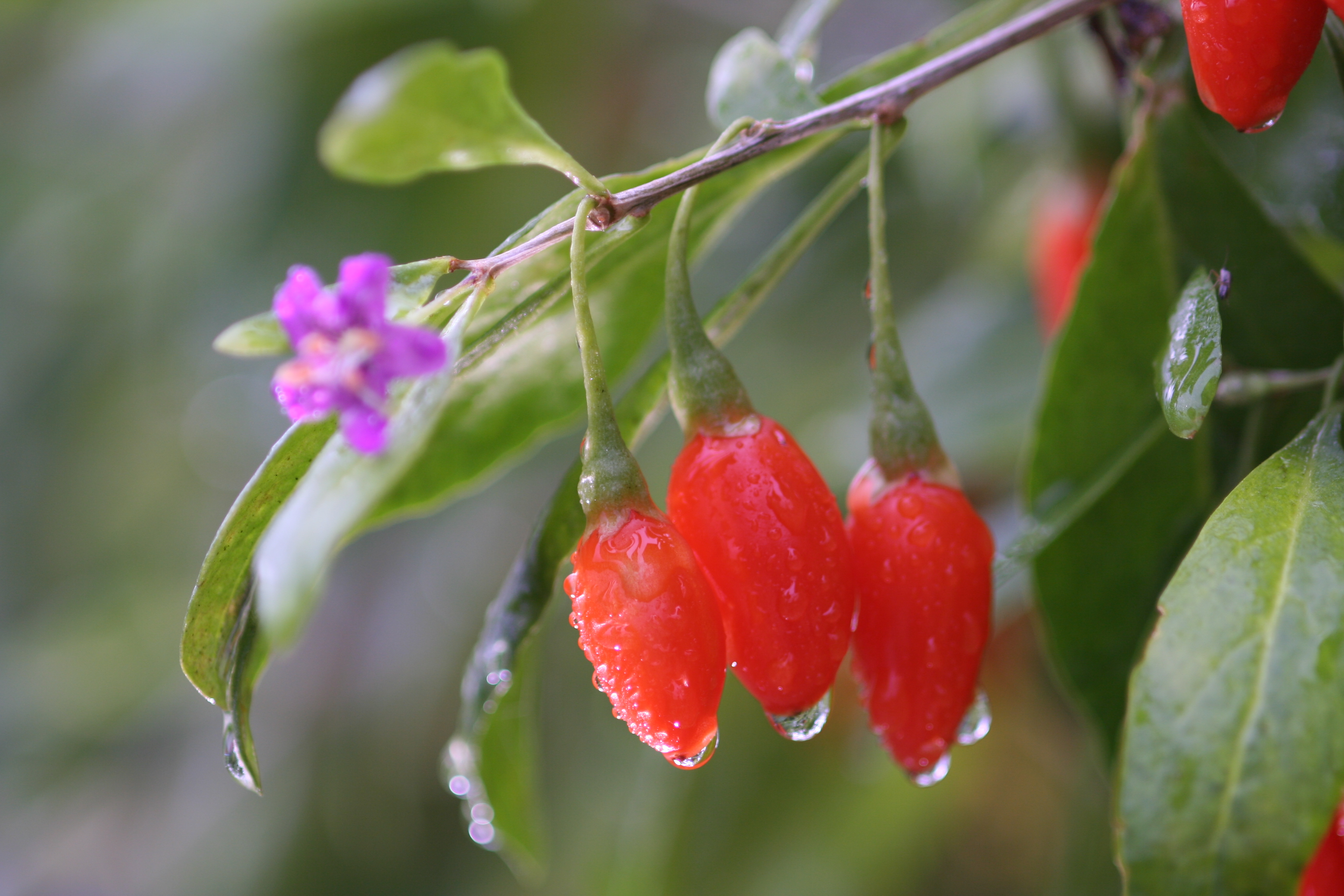 0814 청양구기자