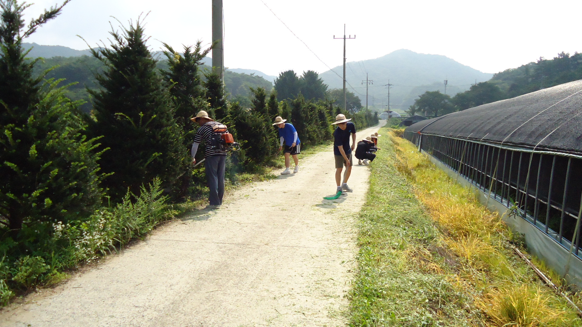 0814 대치면 봉사활동