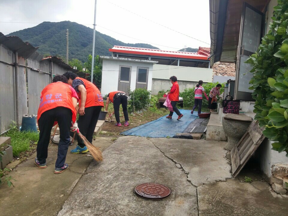 0825 목면 여성자원봉사회 환경봉사활동
