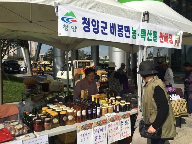 0925 비봉면 도농직거래장터