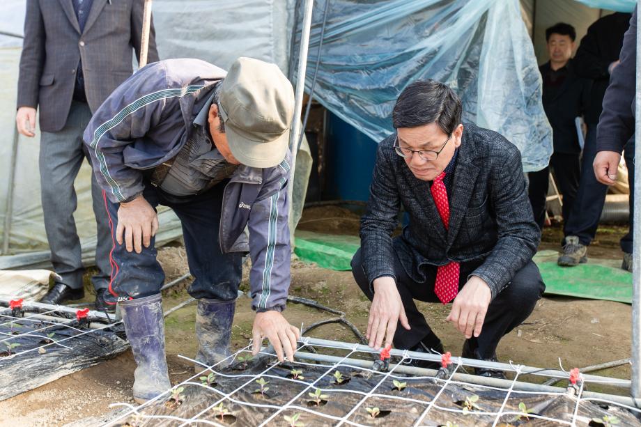 200311_관내 화훼농가 방문_0003