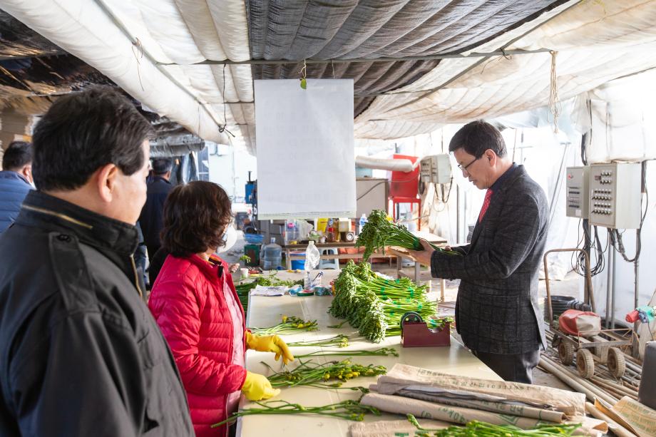 200311_관내 화훼농가 방문_0009