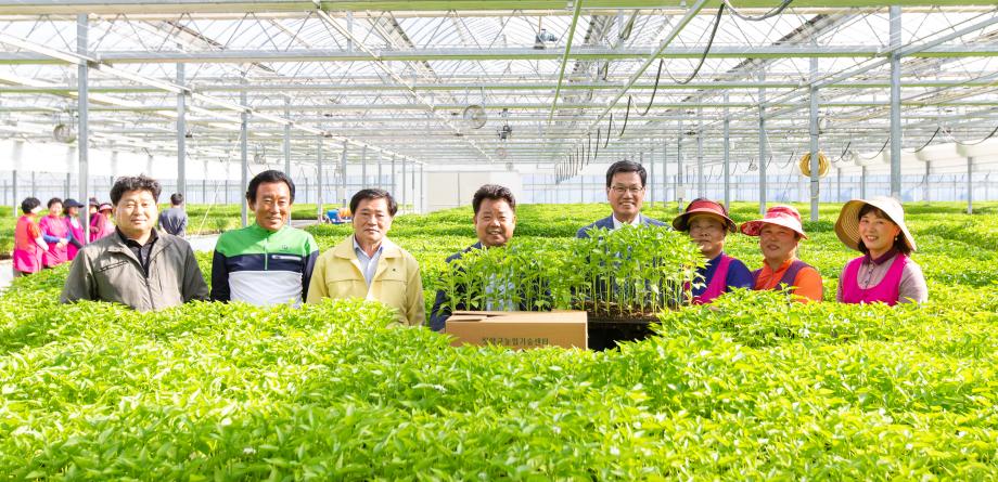 200421_농업기술센터 육묘장 현장 방문_0005