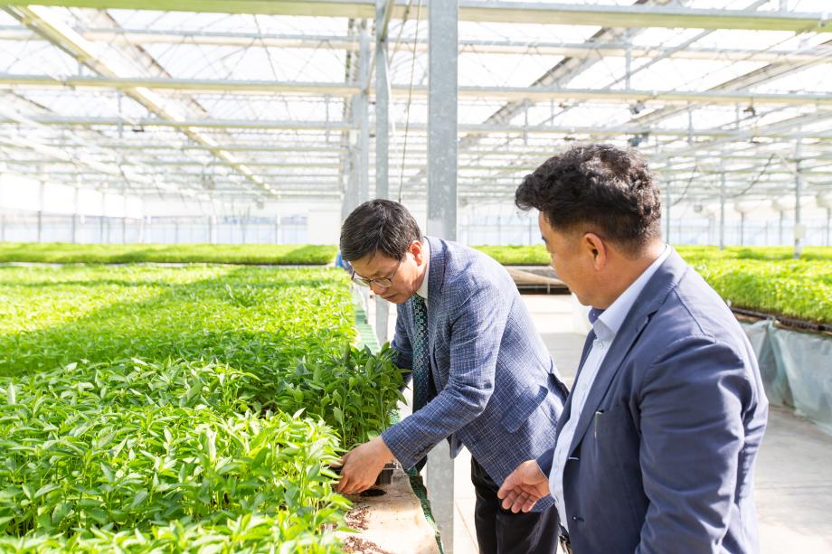 200421_농업기술센터 육묘장 현장 방문_0002