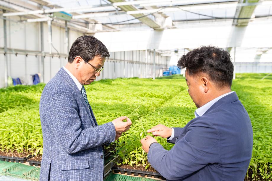 200421_농업기술센터 육묘장 현장 방문_0006