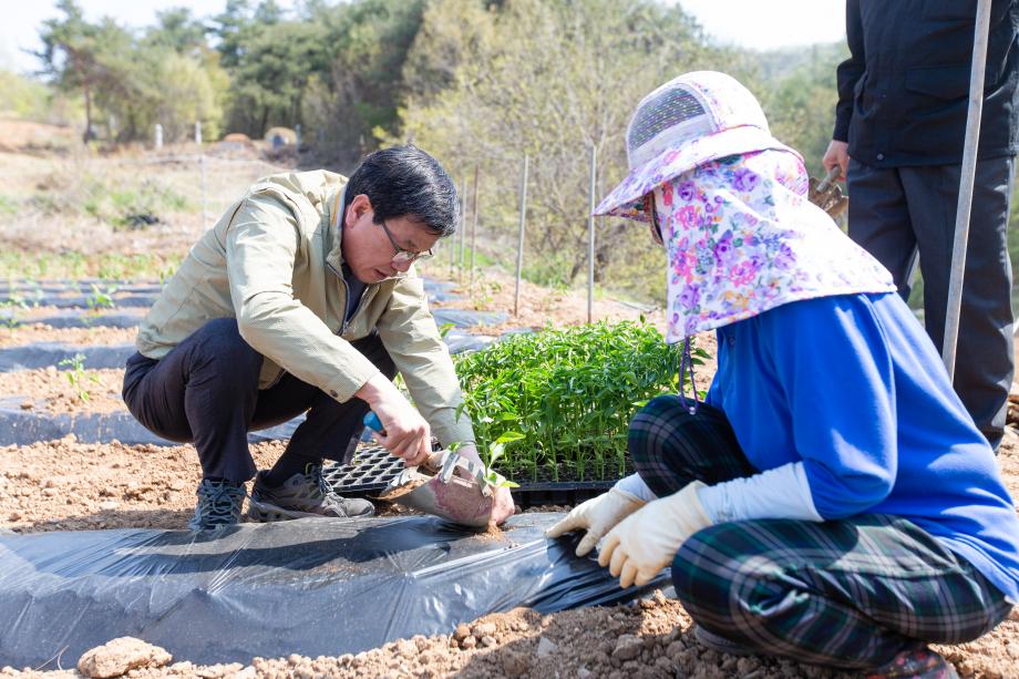 200429_영농현장 방문_0004