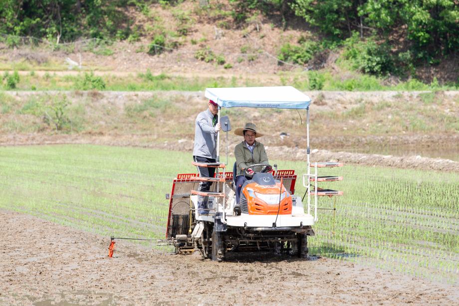 200512_모내기 현장 방문_0006