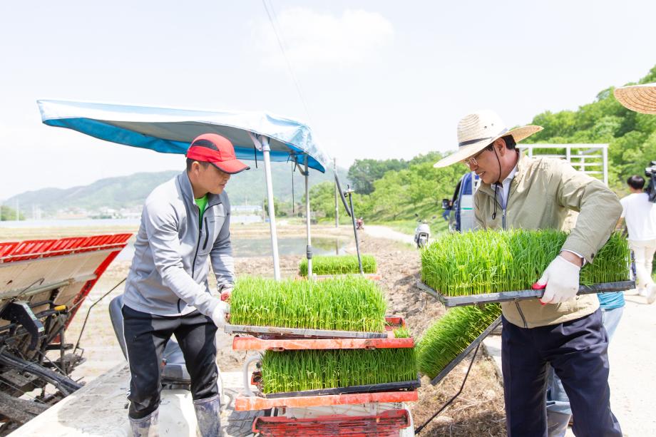 200512_모내기 현장 방문_0003