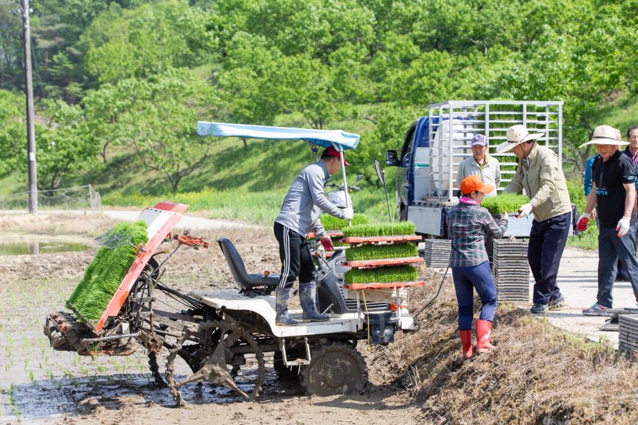 200512_모내기 현장 방문_0009