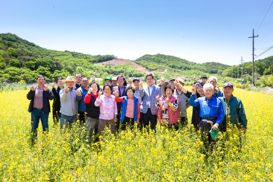 200513_장평면 유채꽃 축제_0006