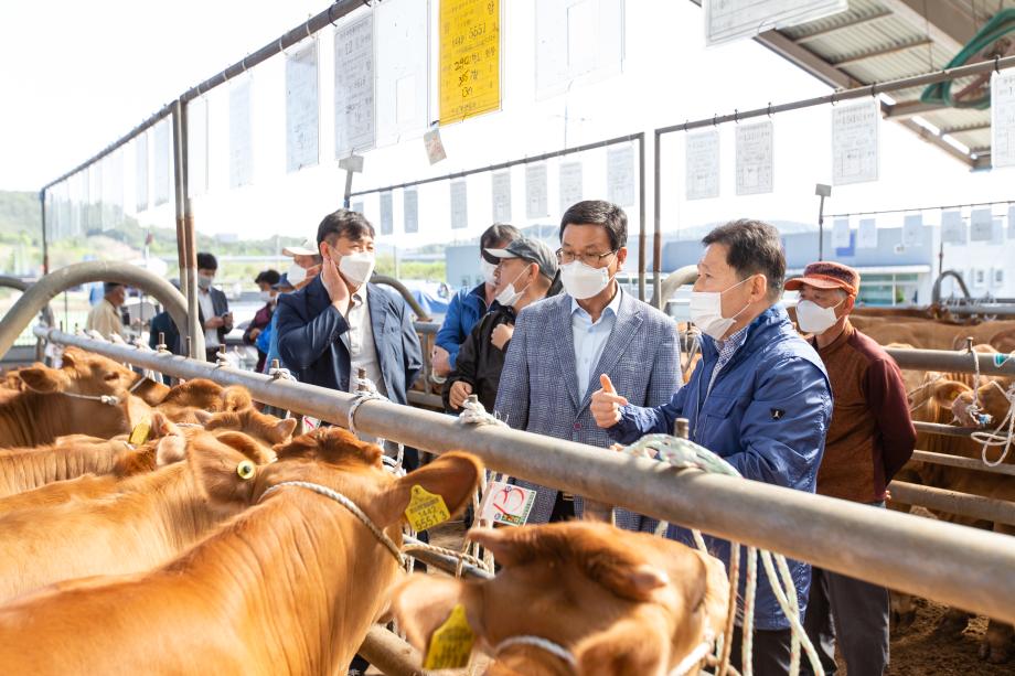 200513_청양가축시장 현장방문_0012