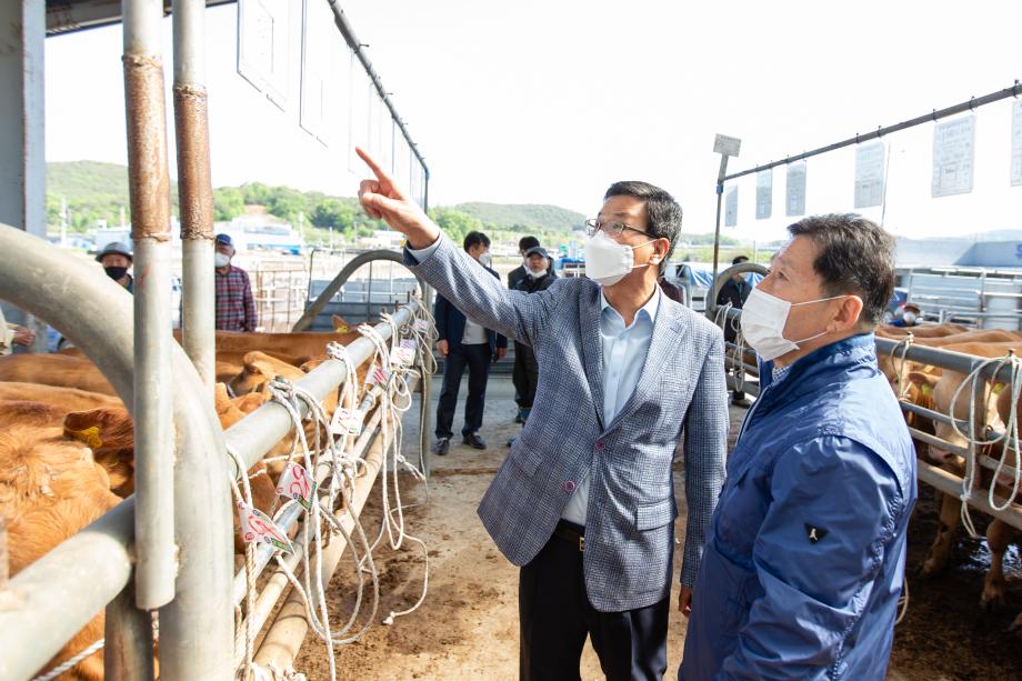 200513_청양가축시장 현장방문_0011