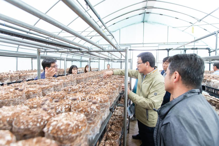 200521_청양 표고버섯 컨설팅 농가 방문_0004