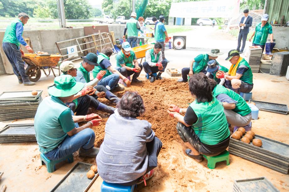 200615_새마을협의회 EM 흙공만들기_0004