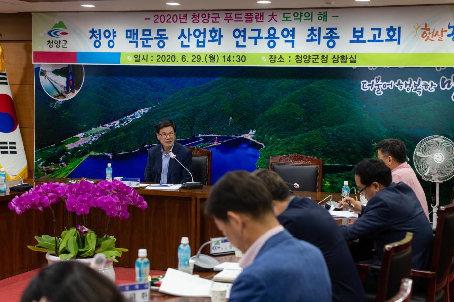 200629_맥문동 산업화 연구용역 최종보고회_0004