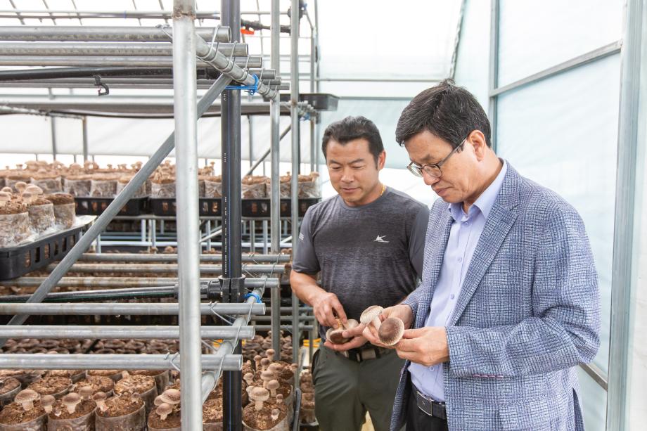 200630_표고버섯 농가 방문_0002