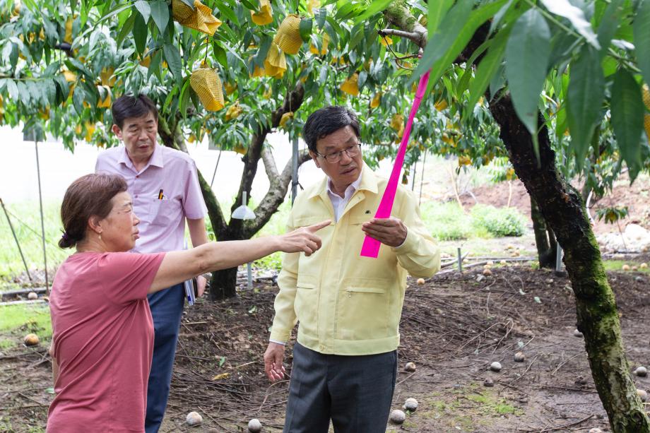 200812_호우피해현장 방문_0003