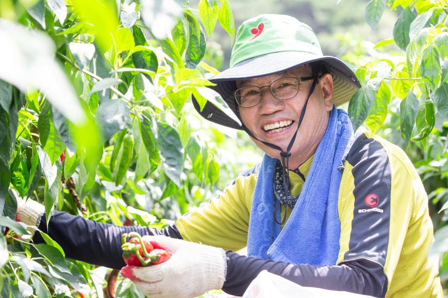 200818_호우피해 농가 일손돕기_0013