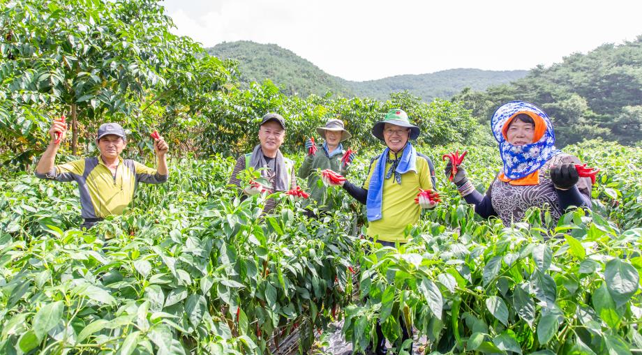 200818_호우피해 농가 일손돕기_0008