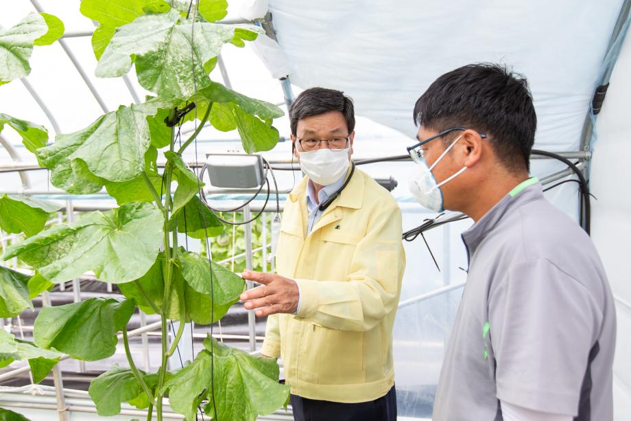 200826_태풍 바비 대비 현장 점검_0002