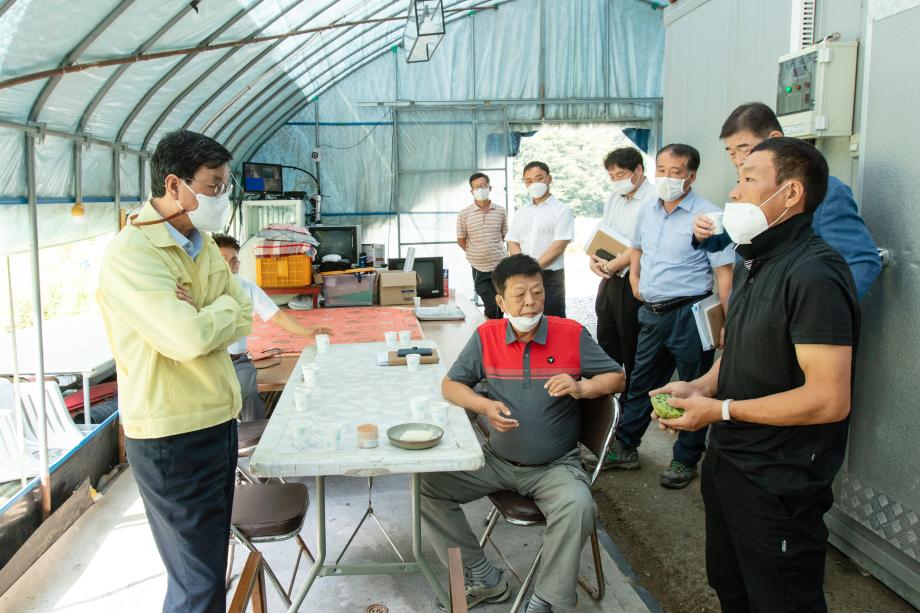 200904_영농현장(연꽃재배단지) 방문_0004