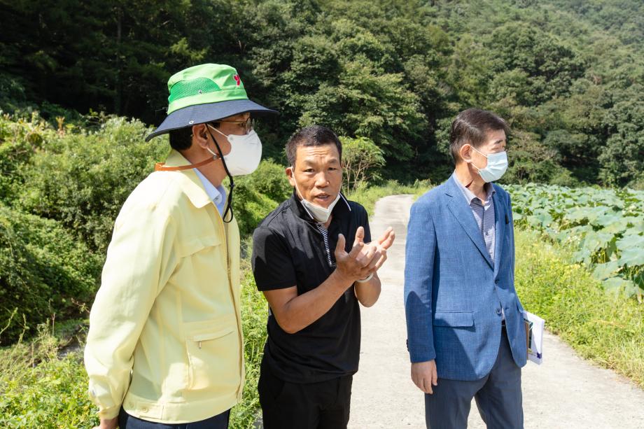 200904_영농현장(연꽃재배단지) 방문_0007