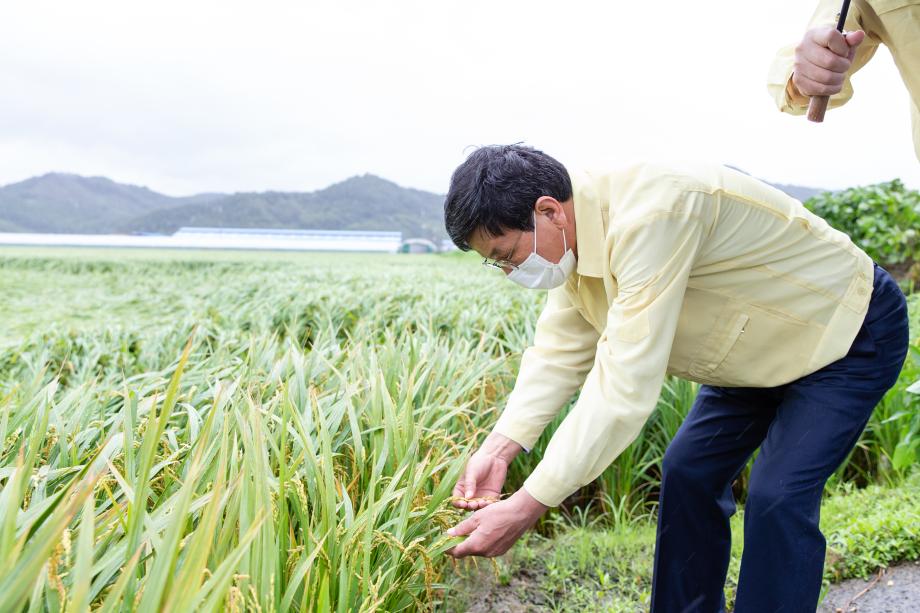 200907_태풍피해 현장 방문_0003