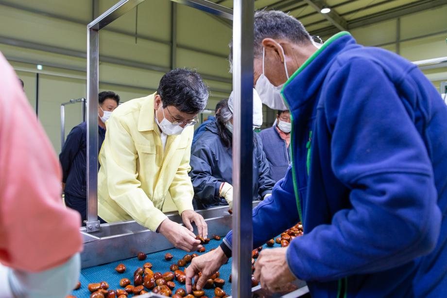 200907_정산농협 밤수매 현장 방문_0002