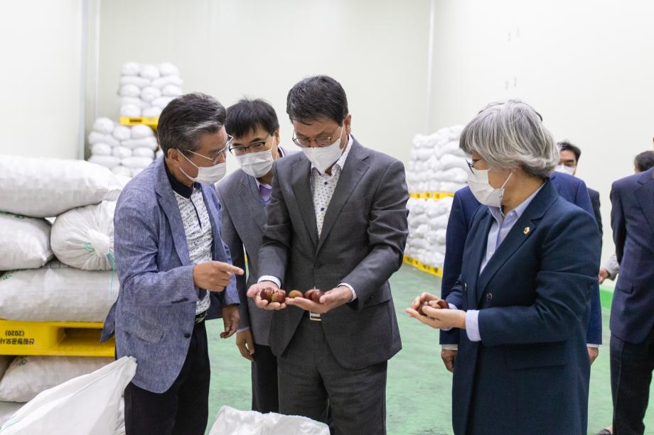 201007_청양산 햇밤 중국 첫 수출 선적식_0004