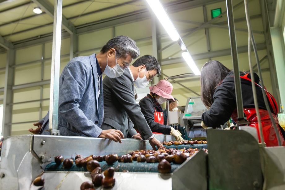 201007_청양산 햇밤 중국 첫 수출 선적식_0007