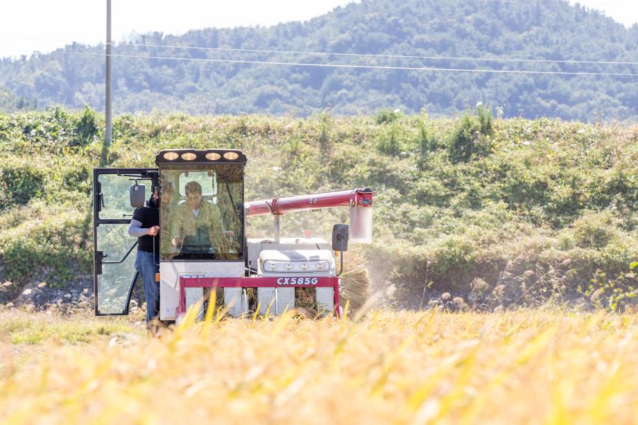 201008_벼베기 영농현장방문_0008