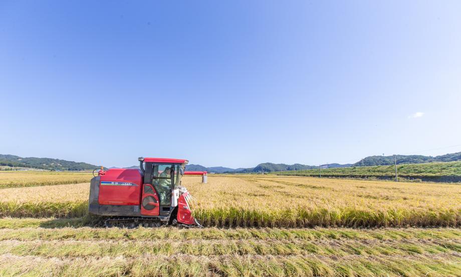 201008_벼베기 영농현장방문_0012