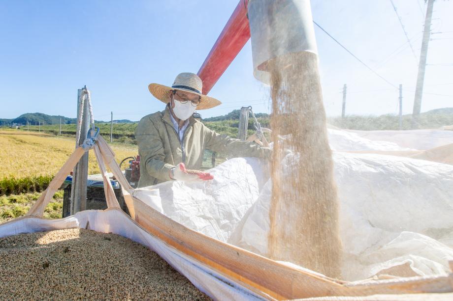 201008_벼베기 영농현장방문_0013