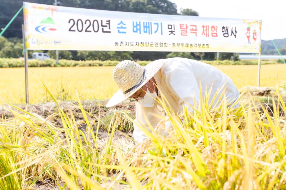 201012_농촌지도사 손 벼베기 체험행사_0005