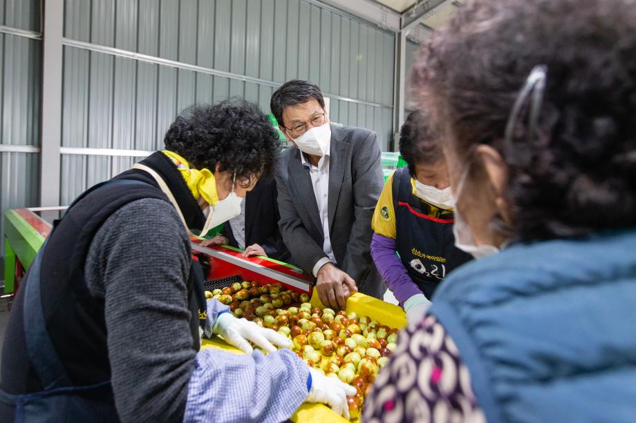 201013_청양왕대추백세만세영농조합 대추 수매현장 방문_0001