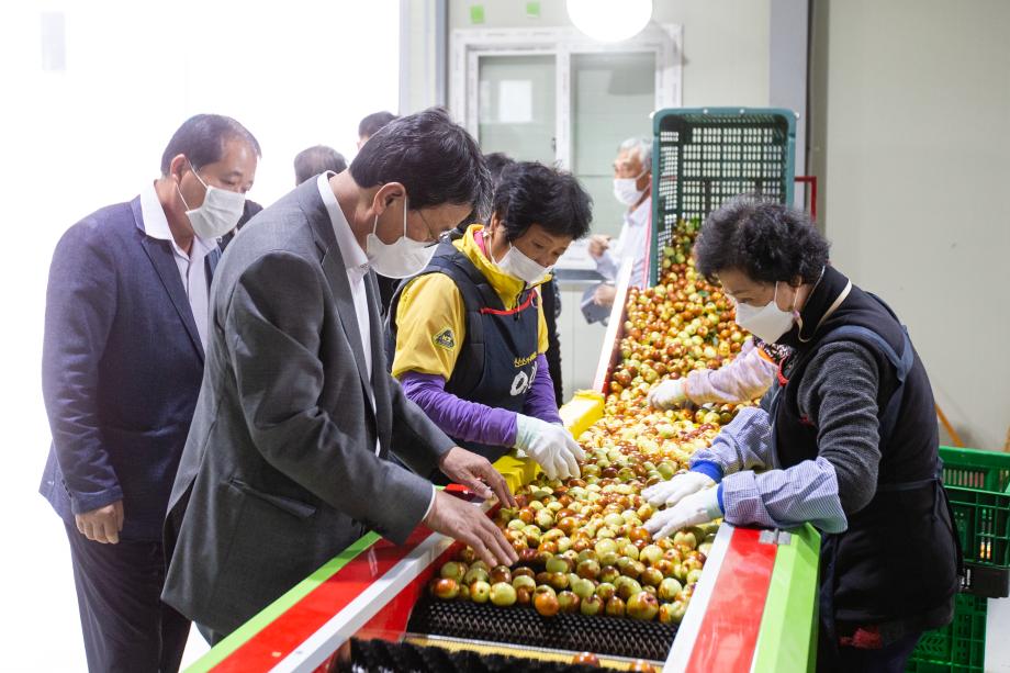 201013_청양왕대추백세만세영농조합 대추 수매현장 방문_0003