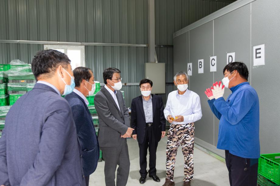 201013_청양왕대추백세만세영농조합 대추 수매현장 방문_0005