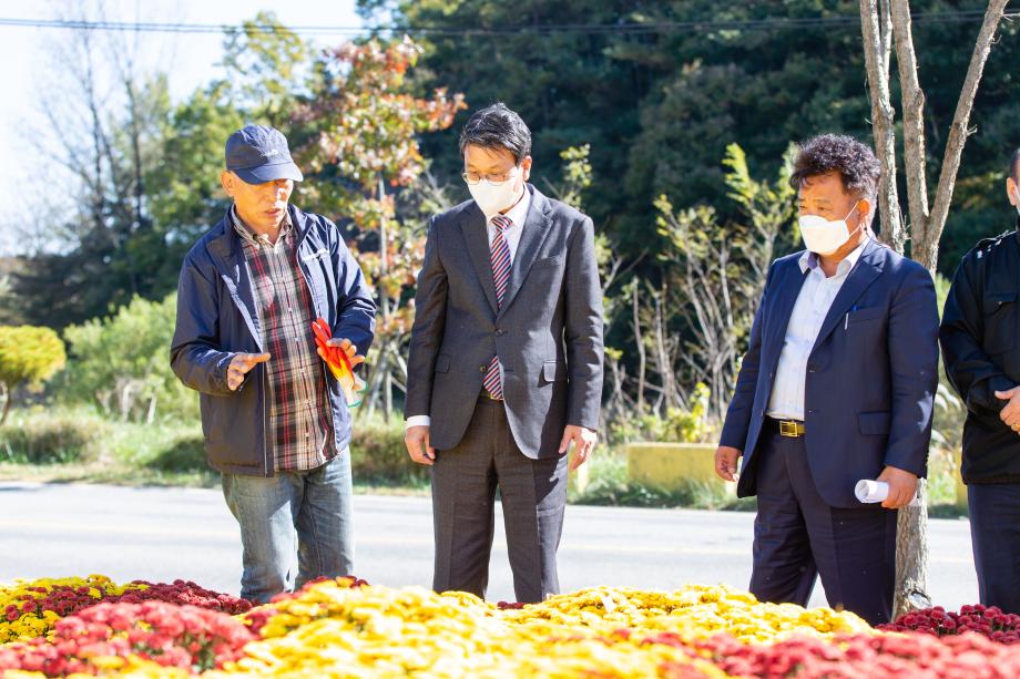 201023_구룡리 국화꽃 축제 준비 현장 방문_0002